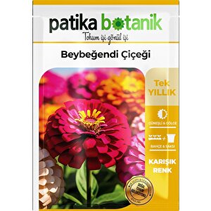30 Adet Beybeğendi (zinnia) Çiçek Tohumu