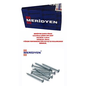 Sunta Vidası 4,0x40 Mm Çinko 500 Adet