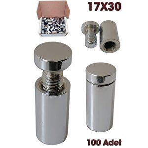 Tabela Vidası 17x30 (100 Adet)