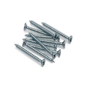 6x80 Sunta Vidası 200 Adet (bits Uç Hediyeli)