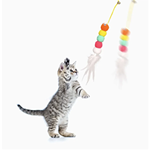 Renkli Kedi Oyun Oltası Kedi Oyuncağı Yapışkanlı Olta Eğitim Oyuncağı 1282