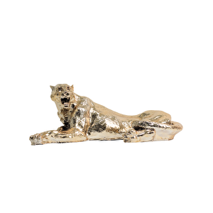 Yerde Uzanan Gold Leopar