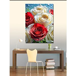 Kanvas Tablo Kırmızı Beyaz Güller 70x100 cm