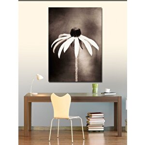 Kanvas Tablo Beyaz Papatya 70x100 cm