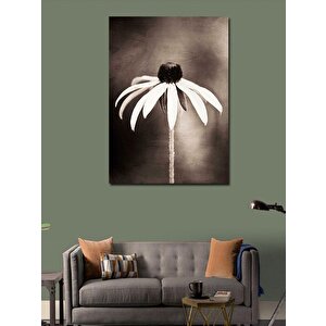 Kanvas Tablo Beyaz Papatya 70x100 cm