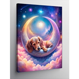 Kanvas Tablo Ayda Uyuyan Köpek