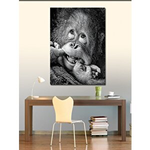 Kanvas Tablo Gülümseyen Orangutan