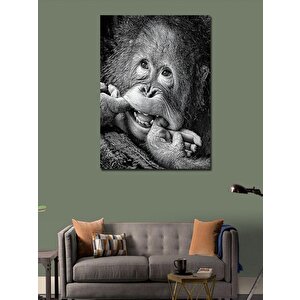 Kanvas Tablo Gülümseyen Orangutan
