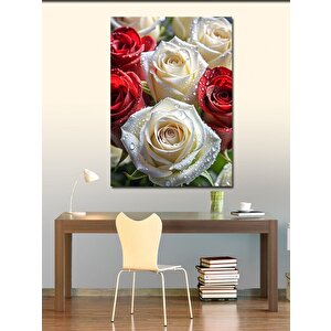 Kanvas Tablo Kırmızı Beyaz Güller 70x100 cm