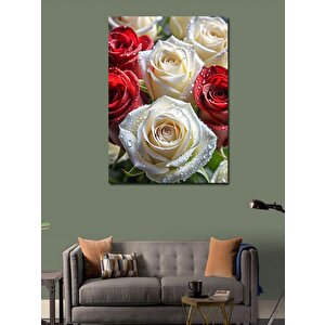 Kanvas Tablo Kırmızı Beyaz Güller 70x100 cm
