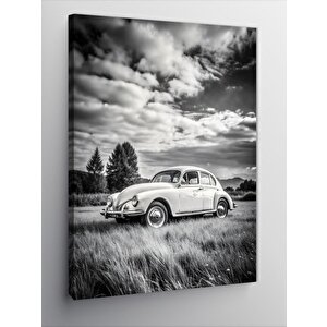 Kanvas Tablo Siyah Beyaz Retro Kaplumbağa Araba 70x100 cm