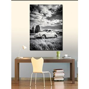 Kanvas Tablo Siyah Beyaz Retro Kaplumbağa Araba 70x100 cm
