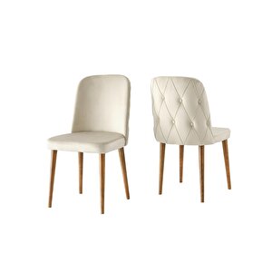 Lale Modern Yemek Mutfak Sandalyesi 4 Lü Set Krem