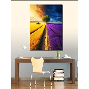 Kanvas Tablo Mor Ve Sarı Tarla 70x100 cm