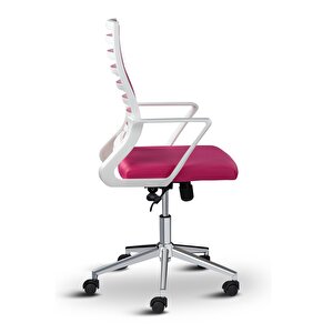 Ceo Fileli Çalışma Koltuğu Ofis Sandalyesi Çalışma Sandalyesi
