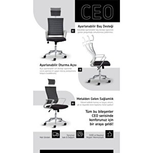 Ceo Fileli Başlıklı Metal Ayaklı Çalışma Koltuğu Ofis Sandalyesi