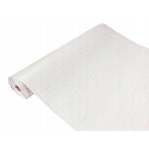 349-8154 Buzlu Cam Görünümlü Yapışkanlı Cam Folyo (67,5cm X 1mt)
