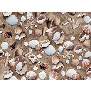 D-c-fix 343-1010 Deniz Kabuğu Desen Yapışkanlı Folyo (45cm X 1,5mt)