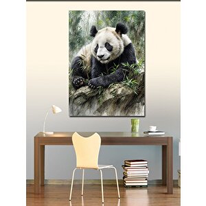 Kanvas Tablo Ormandaki Panda 70x100 cm