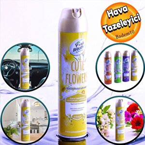 Automix Araba Araç Otomobil Oto Ev Oda Ofis Otel Koku Parfüm Sprey Passion Temiz Hava Kokusu 300 Ml