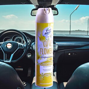 Automix Araba Araç Otomobil Oto Ev Oda Ofis Otel Koku Parfüm Sprey Passion Temiz Hava Kokusu 300 Ml