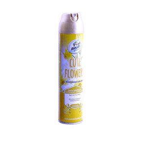Automix Araba Araç Otomobil Oto Ev Oda Ofis Otel Koku Parfüm Sprey Passion Temiz Hava Kokusu 300 Ml