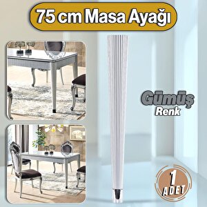 Suit Masa Dresuar Ayağı 75 Cm Plastik Gümüş Ayak Mutfak Yemek Masası Mobilya Ayakları