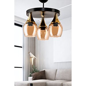 Üçlü Embudo Tepsi̇li̇ Avi̇ze Gold Huni̇ Bal Camli