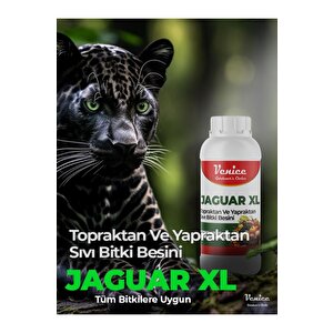 250 Ml Jaguar Xl Meyve Gelişimi Için Bitki Besini