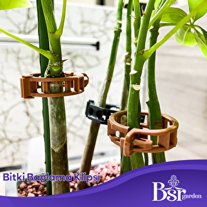 Bsr Garden Bitki Klipsi - Domates Klipsi 50 Adet 25 Mm Gövde Sarmaşık Bitki Bağlama Kelepçesi, Kahverengi