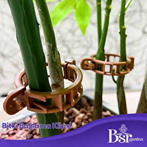 Bsr Garden Bitki Klipsi - Domates Klipsi 50 Adet 25 Mm Gövde Sarmaşık Bitki Bağlama Kelepçesi, Kahverengi