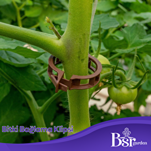 Bsr Garden Bitki Klipsi - Domates Klipsi 250 Adet 25 Mm Gövde Sarmaşık Bitki Bağlama Kelepçesi, Kahverengi