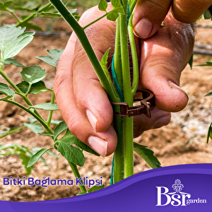 Bsr Garden Bitki Klipsi - Domates Klipsi 250 Adet 25 Mm Gövde Sarmaşık Bitki Bağlama Kelepçesi, Kahverengi