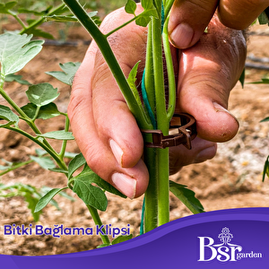 Bitki Klipsi - Domates Klipsi 500 Adet 25 Mm Gövde Sarmaşık Bitki Bağlama Kelepçesi, Kahverengi Bsr Garden