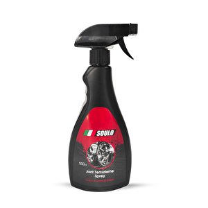 Jant Temizleyici, Parlatıcı Sprey 500ml