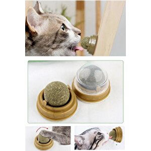 Doğal Catnipli Yenilebilir Kedi Nanesi Otu Oyun Topu Oyuncağı Cat Mint Top Oyuncak