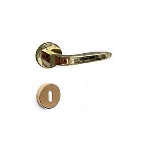 Supra Rozetli Kapı Kolu Gold Oda