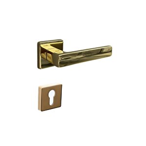 Fosıl Rozetli Kapı Kolu Gold Yale