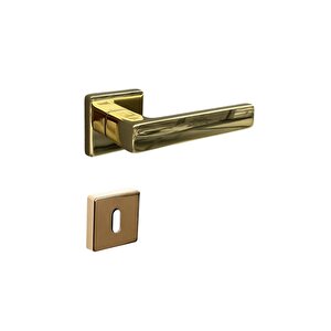 Fosıl Rozetli Kapı Kolu Gold Oda