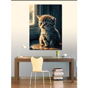 Kanvas Tablo Yağmurda Islanan Yavru Kedi 100x140 cm