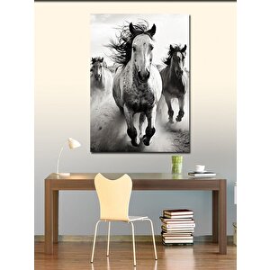 Kanvas Tablo Koşan Atlar 70x100 cm
