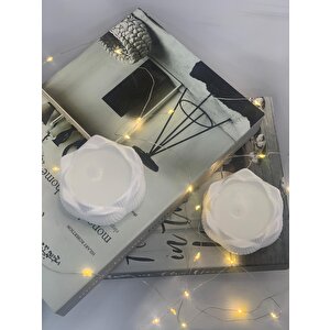 Dekoratif 2'li Beton Lotus Soya Mum Set
