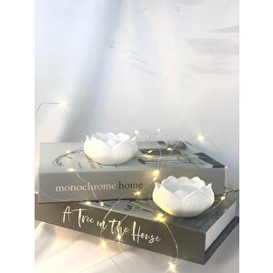 Dekoratif 2'li Beton Lotus Soya Mum Set