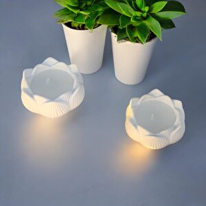 Dekoratif 2'li Beton Lotus Soya Mum Set