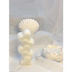 Dekoratif Beton İstiridye Biblo Kalp  Lotus Soya Mum Set