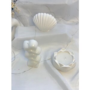 Dekoratif Beton İstiridye Biblo Kalp  Lotus Soya Mum Set