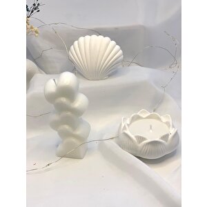 Dekoratif Beton İstiridye Biblo Kalp  Lotus Soya Mum Set