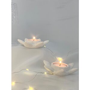 Dekoratif 2'li Beton Nilüfer  Soya Mum Set
