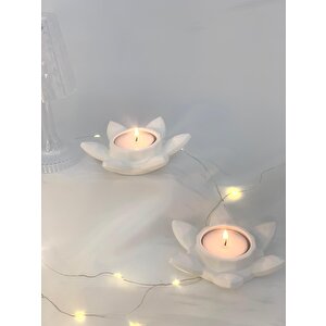 Dekoratif 2'li Beton Nilüfer  Soya Mum Set