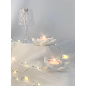 Dekoratif 2'li Beton Nilüfer  Soya Mum Set